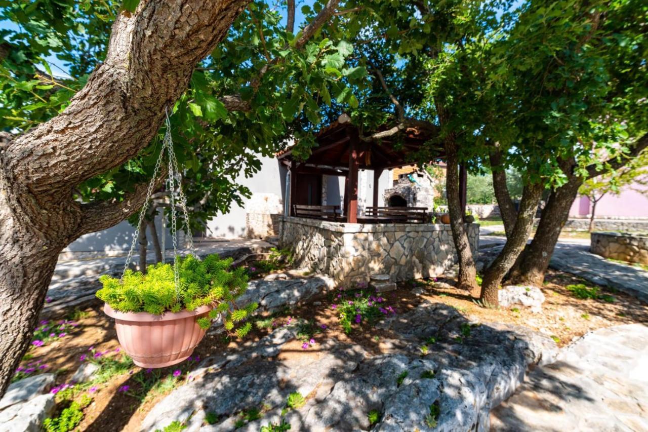 Villa Eagle Бенковац Экстерьер фото